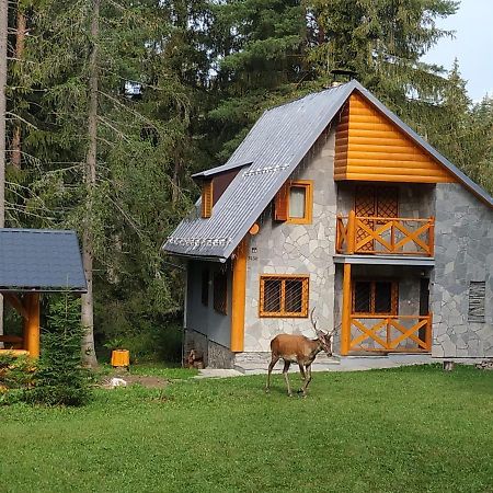 Chata Tatry Татранска-Штрба Экстерьер фото