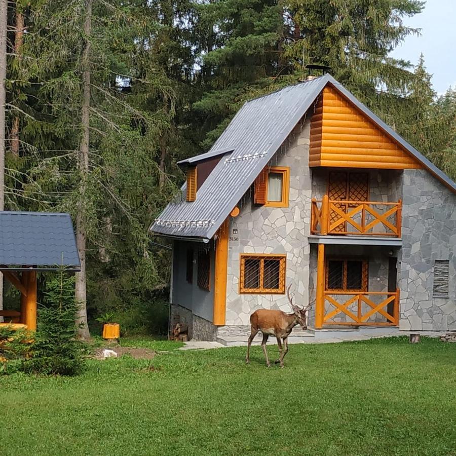 Chata Tatry Татранска-Штрба Экстерьер фото